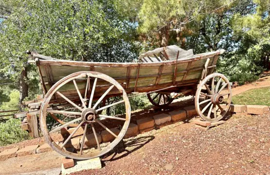 406c0d70b28f48ef9d8b0ffb64c44ad0 LargeOriginal.jpg