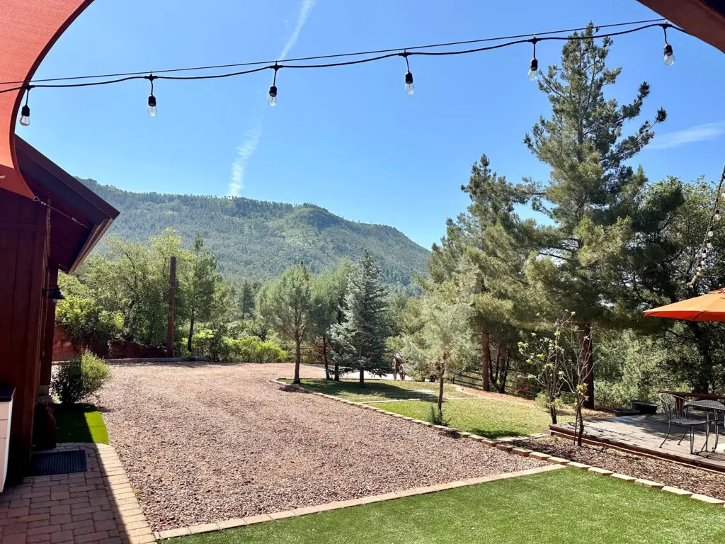 84a154005d11485c8043719ebbb5495c LargeOriginal.jpg