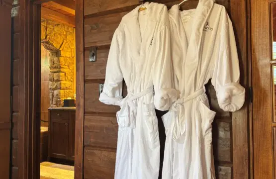 d31ca86f601c4dff875fa007d1852f0b LargeOriginal.jpg