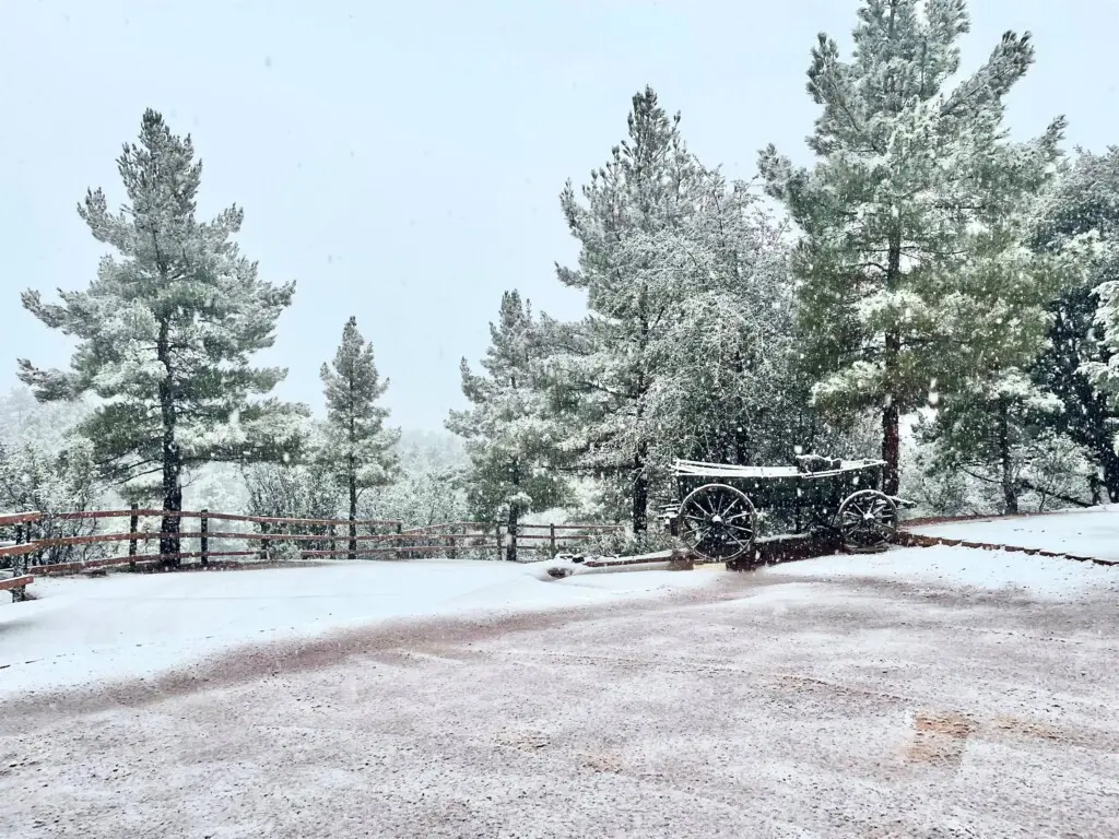 dc957bab86154dc3819862f1a443d260 LargeOriginal.jpg